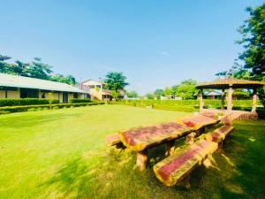 a group of benches sitting in a field at Lighthouse Waterpark and Resort in Mansar