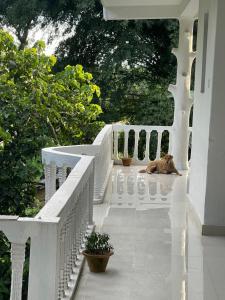 Balkon ili terasa u objektu Hotel Misty Nepal