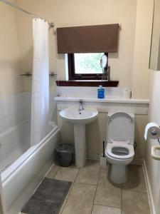 ein Badezimmer mit einem WC, einem Waschbecken und einer Badewanne in der Unterkunft Carnarvon Street City Centre Apartment in Glasgow