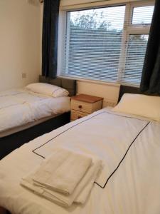 2 camas en una habitación con ventana en The Ramblings, en Wexford