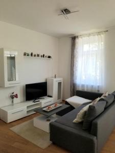 Μια τηλεόραση ή/και κέντρο ψυχαγωγίας στο 1-Zimmer Apartment in der Nähe vom Petersberg