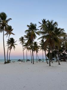 a group of palm trees on a beach with the ocean at Cristal Resort in Paje