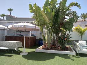 a garden area with a lawn chair and patio furniture at Starboys Gay Resort - Gay Men Only in Maspalomas