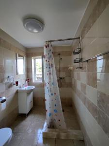 a bathroom with a shower and a sink at Casa Anna in Chilia Veche +17 photos