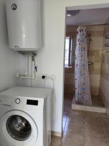 a bathroom with a washing machine and a shower curtain at Casa Anna in Chilia Veche