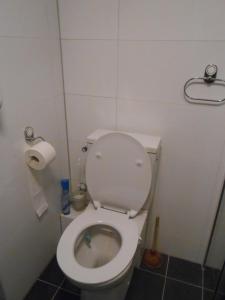 a bathroom with a toilet with a roll of toilet paper at Hetem's Room in Amsterdam
