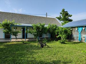 a house with a yard with trees and a building at Casa Anna in Chilia Veche