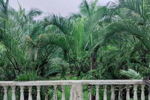 a wooden fence in front of some palm trees at Ivy Garden View, 2 BHK Private House, Lonavala in Lonavala