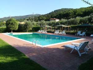 Bazén v ubytování residence San miniato nebo v jeho okolí