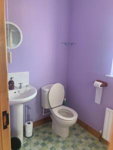 une salle de bains pourpre avec toilettes et lavabo. dans l'établissement Mussenden House, à Articlave