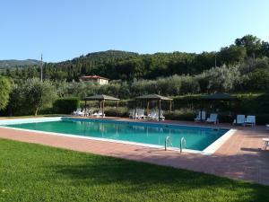 een zwembad met stoelen en parasols in het gras bij residence San miniato in Loro Ciuffenna