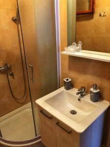 a bathroom with a sink and a shower at Dvosobni apartman in Banjol