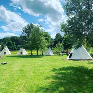 a group of tents in a grass field at Les Tipis du Bonheur de Vivre in Brûlon