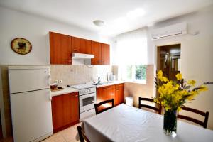 Kuchyňa alebo kuchynka v ubytovaní Apartmani Badurina - Crnika