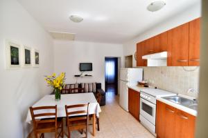 Kuchyňa alebo kuchynka v ubytovaní Apartmani Badurina - Crnika + 3 fotografie