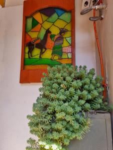 a plant in front of a stained glass window at Chelitos Backpacker in Cusco