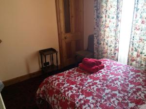 Bellevue Guest House