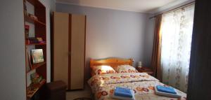 ein kleines Schlafzimmer mit einem Bett und einem Fenster in der Unterkunft Sandra Apartman in Sovata