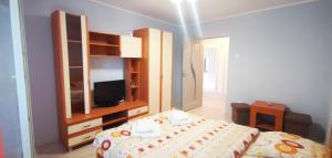 a bedroom with a bed and a tv in a room at Sandra Apartman in Sovata