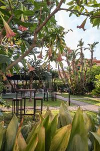 Zahrada ubytování Aequa Hotel