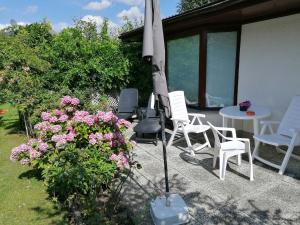Zahrada ubytování Ferienhaus - Roggentin
