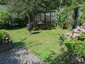 Zahrada ubytování Ferienhaus - Roggentin