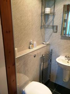 a bathroom with a toilet and a sink at Bellevue Guest House in Edinburgh