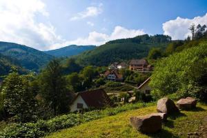 un pueblo en una colina con montañas en el fondo en Maison Rurale En Bordure De Forêt en Schirmeck