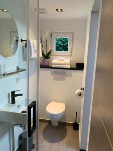 a bathroom with a toilet and a sink at Petite Maison Bennebroek in Bennebroek +21 photos