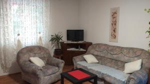 TV a/nebo společenská místnost v ubytování Apartman Vesna