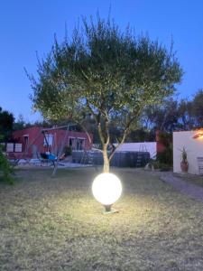 Zahrada ubytování Casa di Floumy