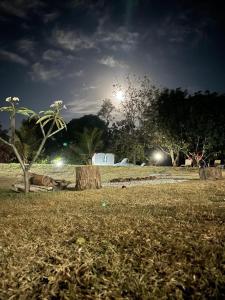 un parque por la noche con un tronco de árbol en la hierba en Casa Verde en Pirenópolis