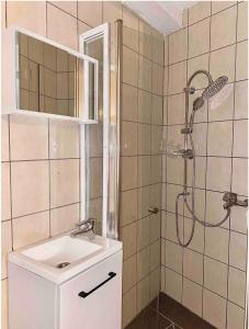 een badkamer met een douche en een wastafel bij Studio dans lotissement calme, proche du centre in Vannes