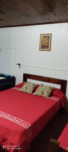 1 dormitorio con 1 cama con sábanas rojas y una foto en la pared en Los Abuelos, en La Coronilla
