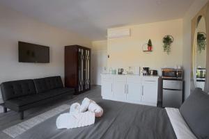Una sala de estar con un sofá y una cocina. en Awesome Balboa and Downtown View with Cozy Patio, en San Diego