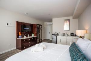 Kuchyň nebo kuchyňský kout v ubytování Luxurious Studio in Heart of San Diego w Cali King + 25 fotografií