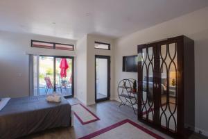 TV a/nebo společenská místnost v ubytování Spacious Studio with Incredible Balboa Park View