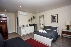 Steps to Balboa Park- Brand New Apt - Cozy Studio