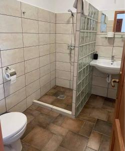 een badkamer met een douche, een toilet en een wastafel bij Somló Kolonics Kúria in Somlóvásárhely