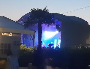 a palm tree in front of a stage at Les Charmettes - SIBLU in Les Mathes +29 photos