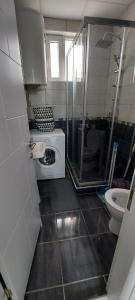 y baño pequeño con ducha y aseo. en Mario apartment en Strumica