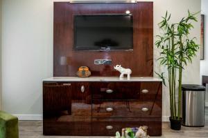 Televízia a/alebo spoločenská miestnosť v ubytovaní Luxurious One Bedroom Suite with Balboa Park View