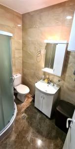 y baño con aseo, lavabo y ducha. en Apartmani Lavanda en Soko Banja