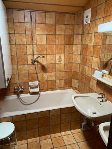 Ένα μπάνιο στο Appartement Latschen - Ferienhaus