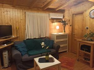 - un salon avec un canapé et une télévision dans l'établissement Chalet SEAESTA COMFORT Lago di Lugano, à Porlezza