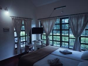 1 dormitorio con 1 cama, ventanas y TV en Dubare Inn en Madikeri
