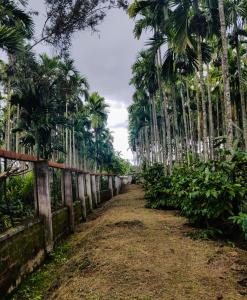 a row of palm trees on a dirt road at Dubare Inn in Madikeri