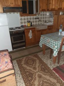 uma cozinha com um fogão e uma mesa em EFTHYMIOS Φθηνη και ησυχη διαμονη em Grammatikoú