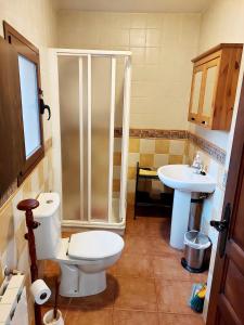 a bathroom with a toilet and a sink at Torre Blanca in Riópar Viejo