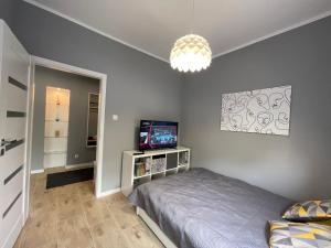 1 dormitorio con 1 cama y TV en Apartament BERLIN, en Białystok